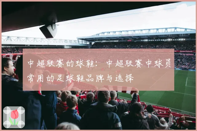 中超联赛的球鞋：中超联赛中球员常用的足球鞋品牌与选择