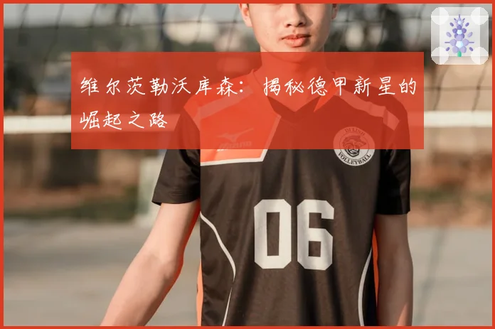 维尔茨勒沃库森：揭秘德甲新星的崛起之路