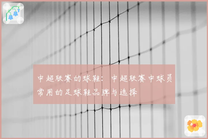 中超联赛的球鞋：中超联赛中球员常用的足球鞋品牌与选择