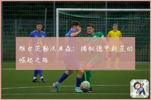 维尔茨勒沃库森：揭秘德甲新星的崛起之路