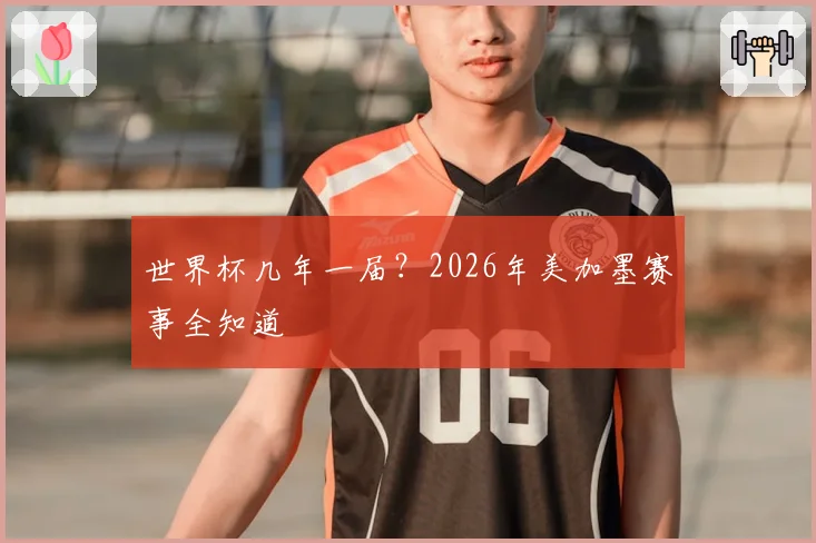 世界杯几年一届？2026年美加墨赛事全知道