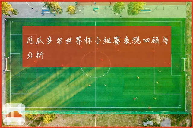 厄瓜多尔世界杯小组赛表现回顾与分析