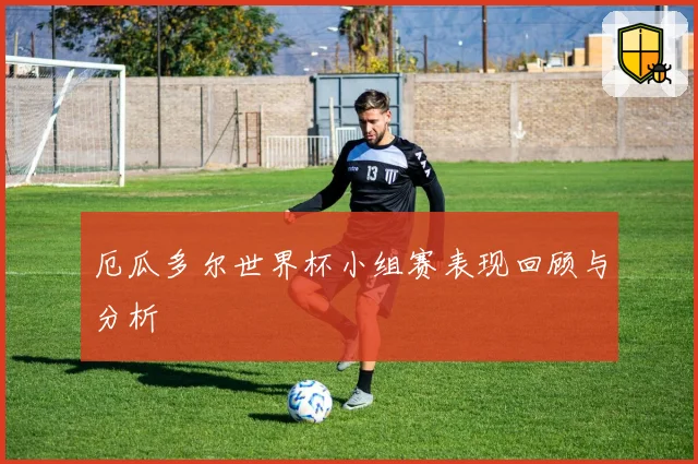 厄瓜多尔世界杯小组赛表现回顾与分析