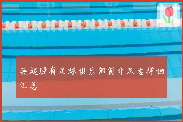 英超现有足球俱乐部简介及吉祥物汇总