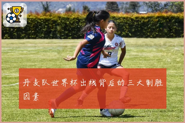 丹麦队世界杯出线背后的三大制胜因素