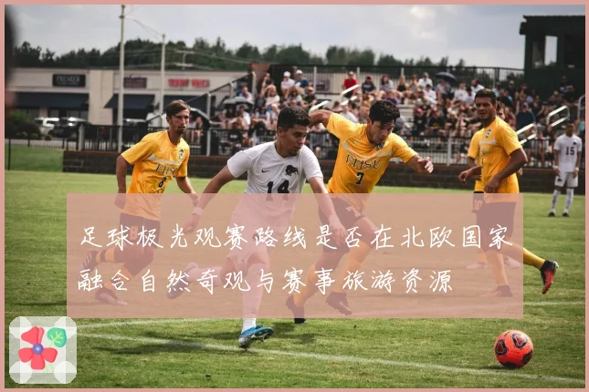 足球极光观赛路线是否在北欧国家融合自然奇观与赛事旅游资源