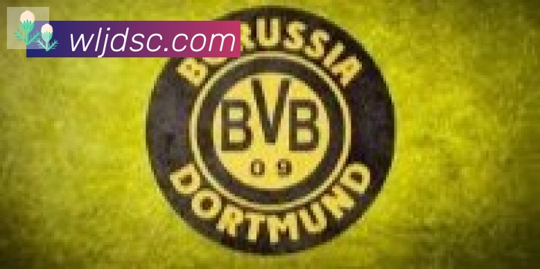 爱游戏ayx合作伙伴