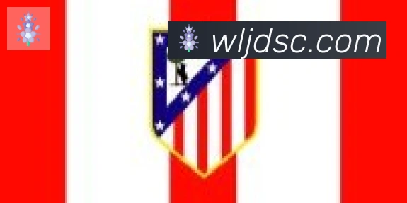 爱游戏ayx合作伙伴